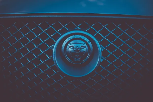 Cleopatra Kasyno Aplikacja Android/iOS